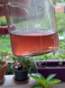 sirop aubépine