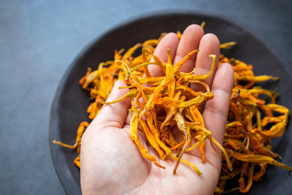 bouton d'hémérocalle